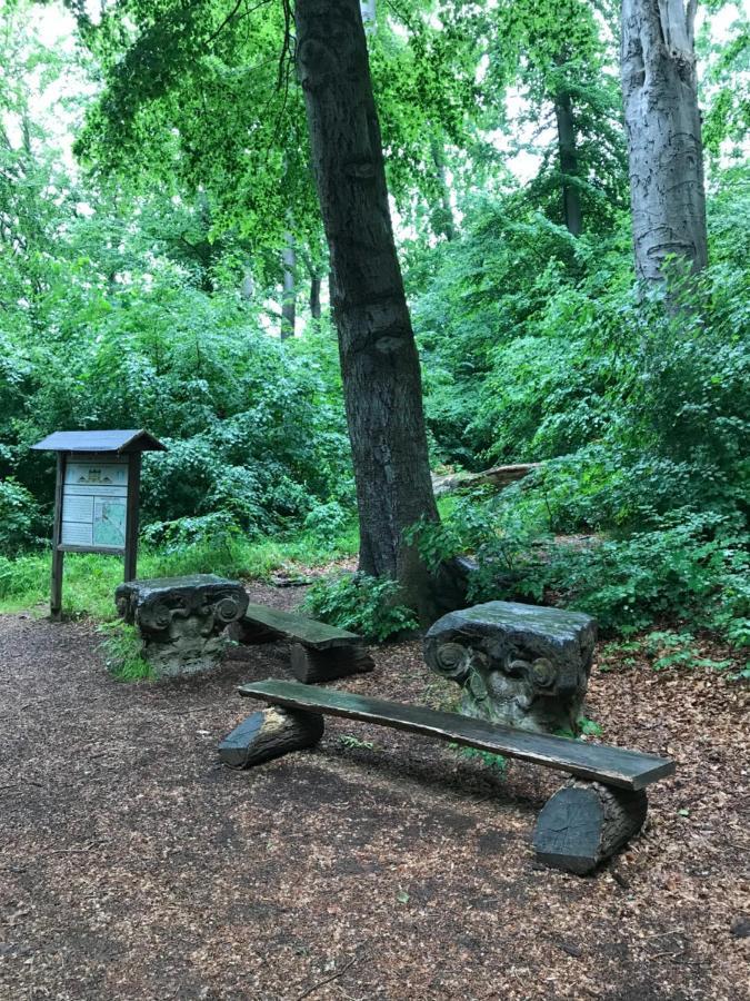 Ferienwohnung Auszeit Am Kurpark Bad Berka - Balkon - Ruhige Lage- Gratis Parkplatz & Wlan Eksteriør bilde